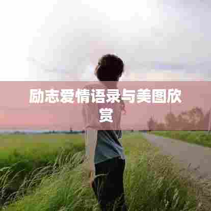 励志爱情语录与美图欣赏