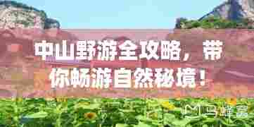 中山野游全攻略,带你畅游自然秘境!