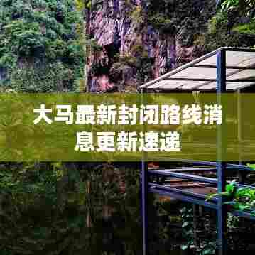 飞龙在天 第3页