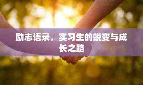 励志语录,实习生的蜕变与成长之路