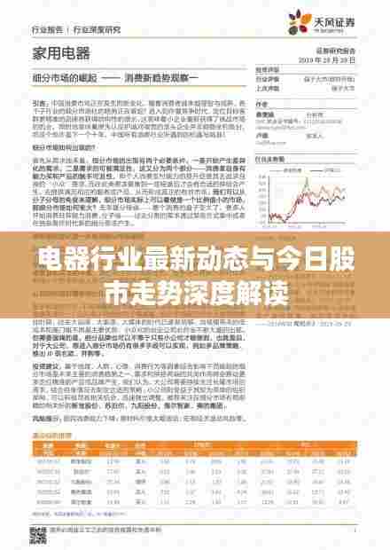 电器行业最新动态与今日股市走势深度解读