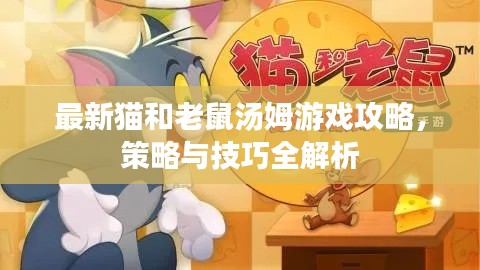 最新猫和老鼠汤姆游戏攻略，策略与技巧全解析