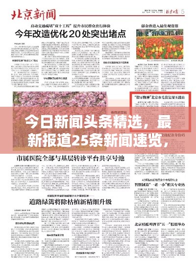 今日新闻头条精选，最新报道25条新闻速览，不容错过！