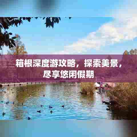 箱根深度游攻略,探索美景,尽享悠闲假期