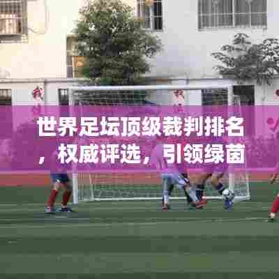 世界足坛顶级裁判排名,权威评选,引领绿茵场上的公正与荣耀!