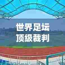 世界足坛顶级裁判排名,权威评选,引领绿茵场上的公正与荣耀!