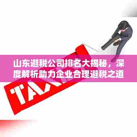 山东避税公司排名大揭秘,深度解析助力企业合理避税之道