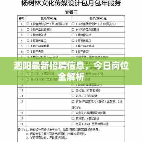 泗阳最新招聘信息，今日岗位全解析