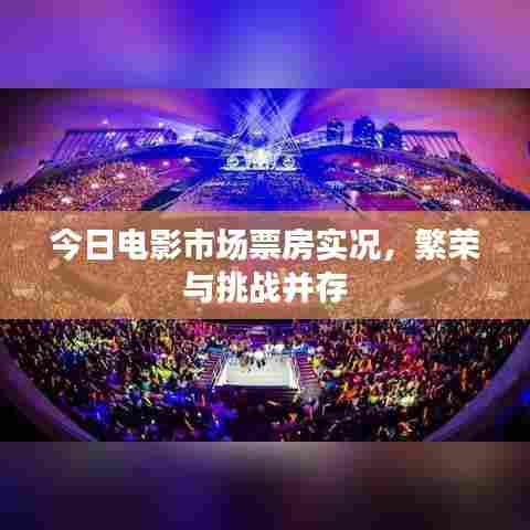 今日电影市场票房实况,繁荣与挑战并存