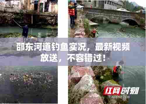邵东河道钓鱼实况,最新视频放送,不容错过!