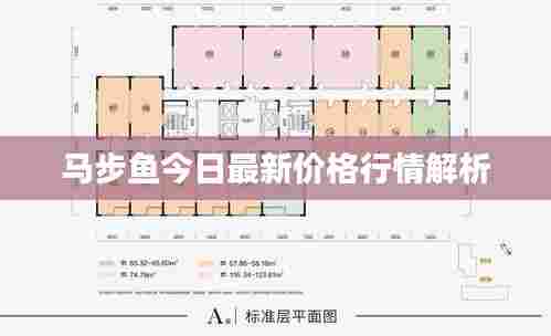 马步鱼今日最新价格行情解析