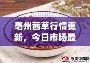 亳州茜草行情更新，今日市场最新动态揭秘