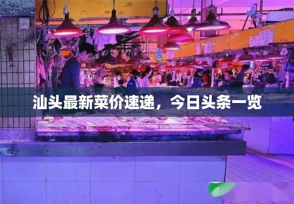 汕头最新菜价速递,今日头条一览