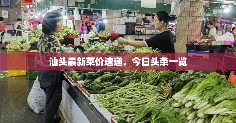 汕头最新菜价速递,今日头条一览