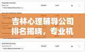 吉林心理辅导公司排名揭晓，专业机构的重要性与影响力