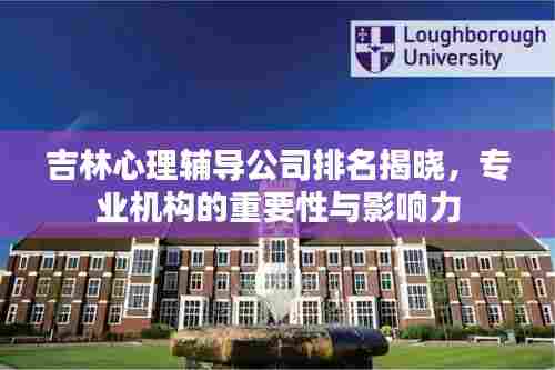 吉林心理辅导公司排名揭晓,专业机构的重要性与影响力