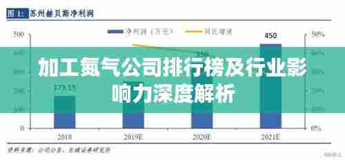 加工氮气公司排行榜及行业影响力深度解析