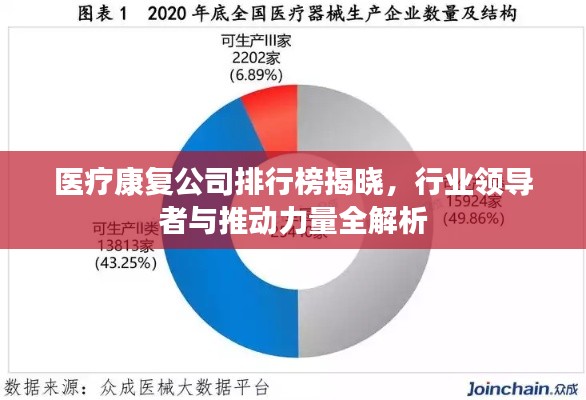 医疗康复公司排行榜揭晓,行业领导者与推动力量全解析