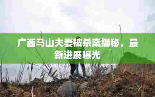 广西马山夫妻被杀案揭秘,最新进展曝光