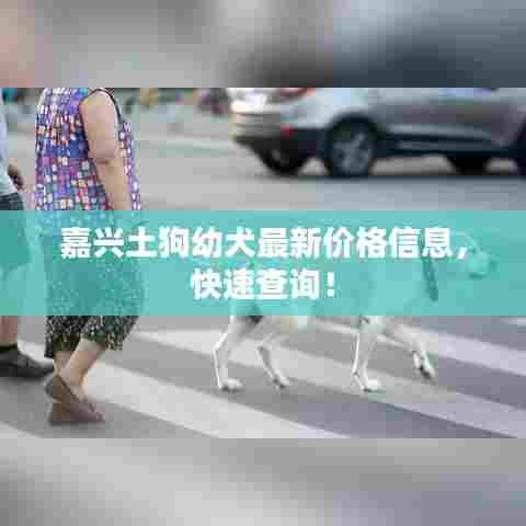 如翚斯飞 第3页