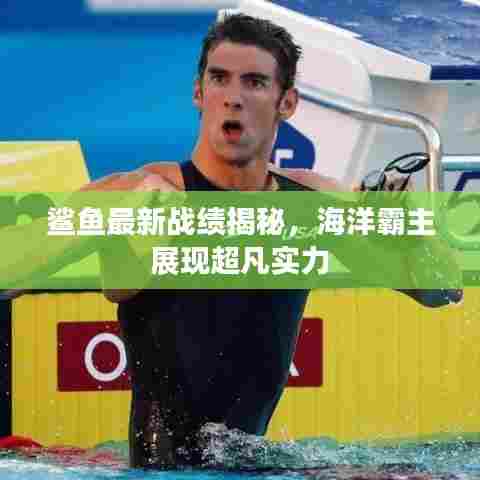 鲨鱼最新战绩揭秘,海洋霸主展现超凡实力
