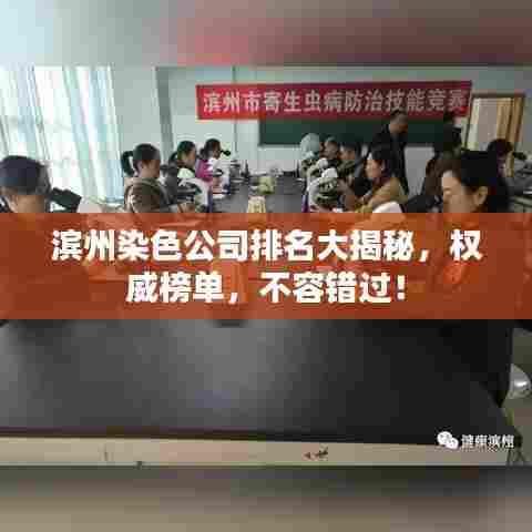 滨州染色公司排名大揭秘,权威榜单,不容错过!