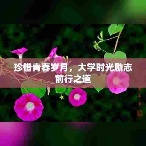 珍惜青春岁月，大学时光励志前行之道