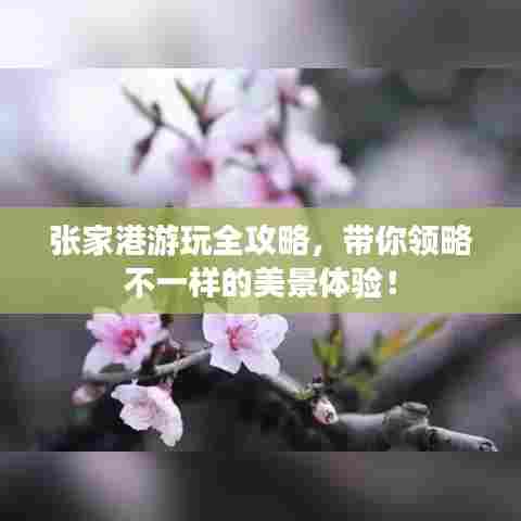 张家港游玩全攻略,带你领略不一样的美景体验!