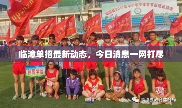 临漳单招最新动态,今日消息一网打尽