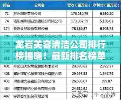 龙岩美容清洁公司排行榜揭晓！最新排名榜单来袭！