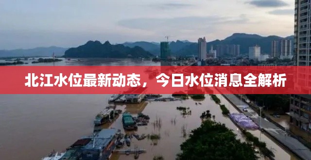北江水位最新动态,今日水位消息全解析