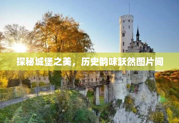 探秘城堡之美,历史韵味跃然图片间