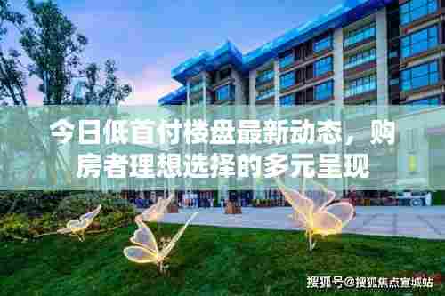 飞燕化龙 第3页