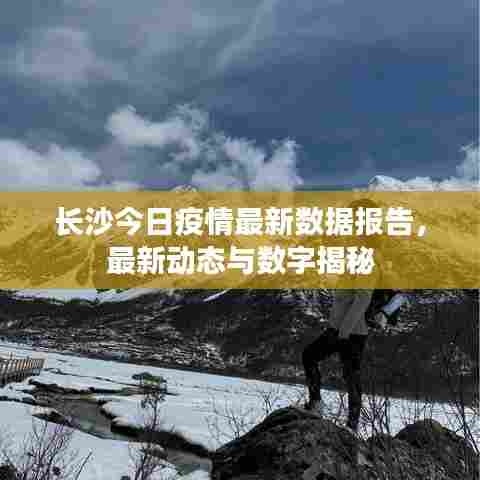 长沙今日疫情最新数据报告,最新动态与数字揭秘