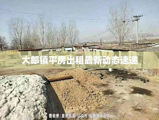 大郎镇平房出租最新动态速递