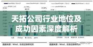 天拓公司行业地位及成功因素深度解析