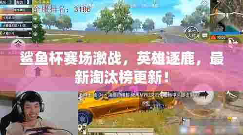 鲨鱼杯赛场激战,英雄逐鹿,最新淘汰榜更新!