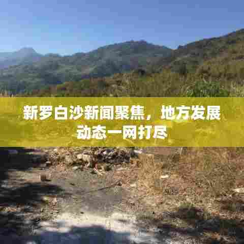 新罗白沙新闻聚焦，地方发展动态一网打尽