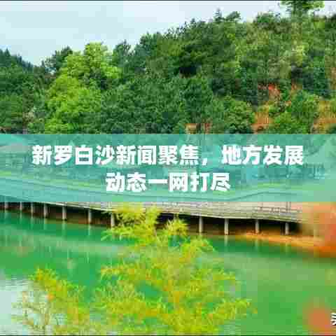 新罗白沙新闻聚焦,地方发展动态一网打尽