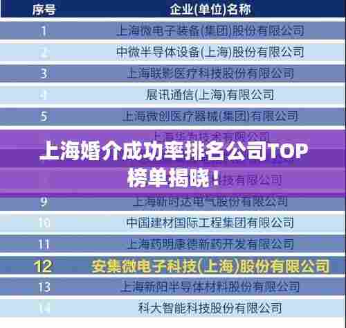 上海婚介成功率排名公司TOP榜单揭晓！