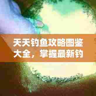 天天钓鱼攻略图鉴大全,掌握最新钓技,轻松钓获珍稀鱼种!