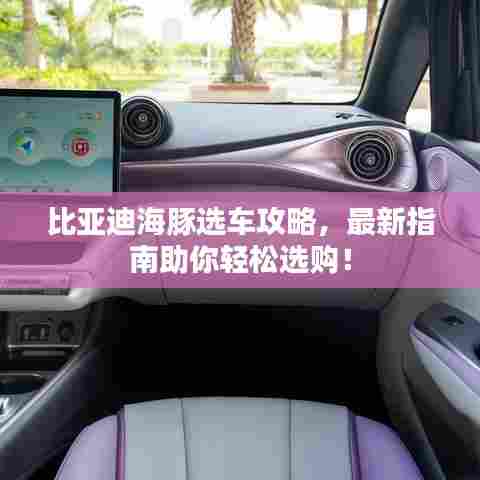 比亚迪海豚选车攻略,最新指南助你轻松选购!