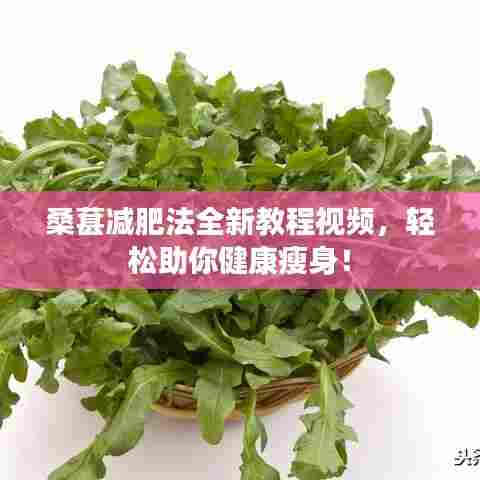 桑葚减肥法全新教程视频,轻松助你健康瘦身!