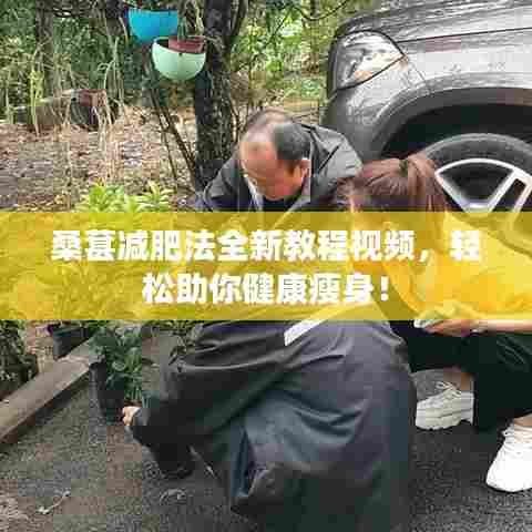 桑葚减肥法全新教程视频,轻松助你健康瘦身!