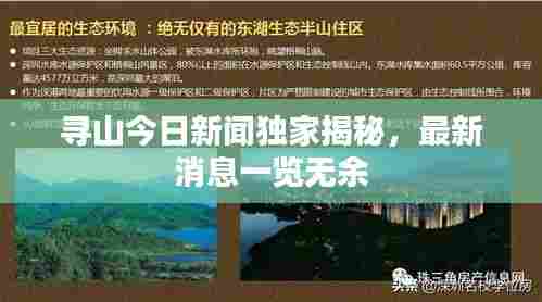 寻山今日新闻独家揭秘，最新消息一览无余