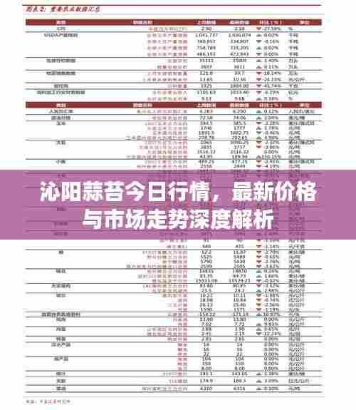 沁阳蒜苔今日行情,最新价格与市场走势深度解析