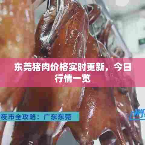 东莞猪肉价格实时更新，今日行情一览