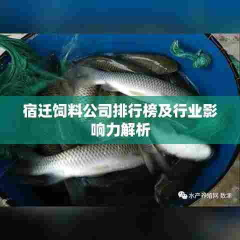 宿迁饲料公司排行榜及行业影响力解析