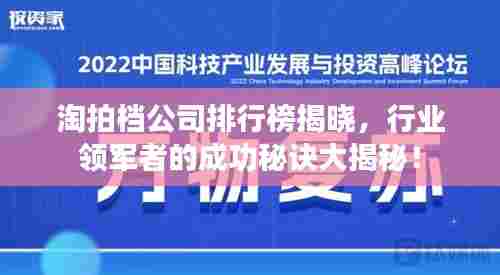 淘拍档公司排行榜揭晓，行业领军者的成功秘诀大揭秘！