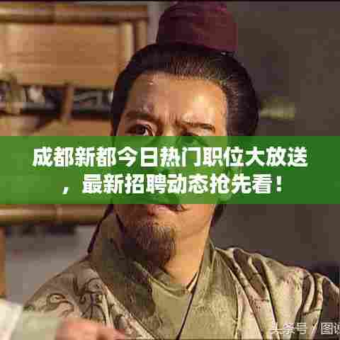 成都新都今日热门职位大放送,最新招聘动态抢先看!